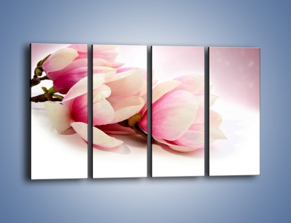 Obraz na płótnie – Gałąź magnolii na obłoku – czteroczęściowy K817W1