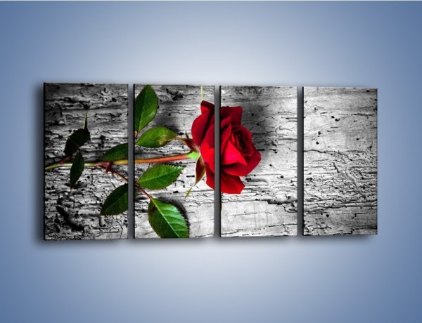 Obraz na płótnie – Róża na surowym tle – czteroczęściowy K843W1