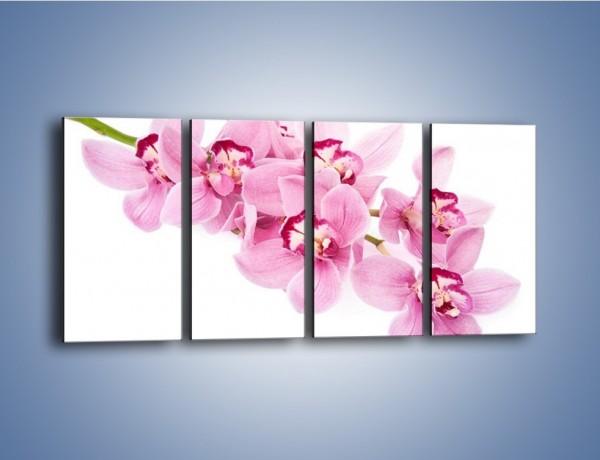 Obraz na płótnie – Dojrzała gałąź kwiatów – czteroczęściowy K845W1