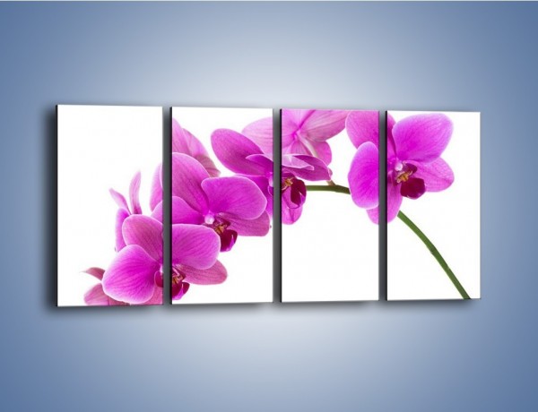 Obraz na płótnie – Kwiaty w lewą stronę – czteroczęściowy K853W1