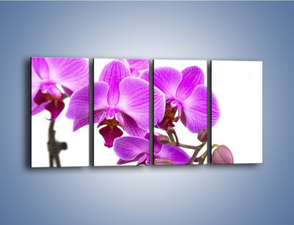 Obraz na płótnie – Samotne kwiaty bez dodatków – czteroczęściowy K870W1
