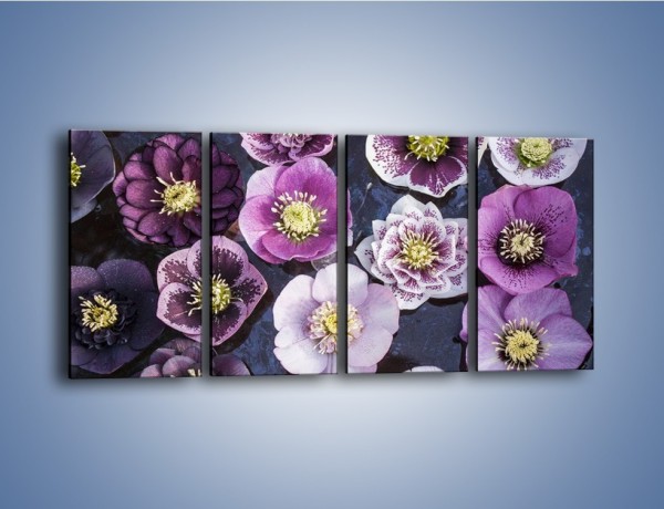 Obraz na płótnie – Wszystkie odcienie fioletu w kwiatach – czteroczęściowy K876W1