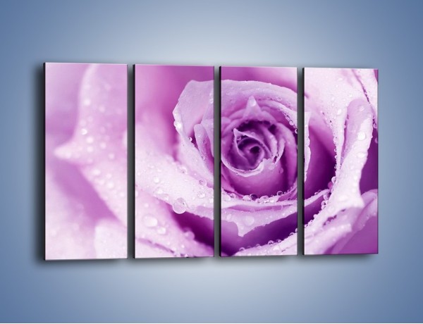 Obraz na płótnie – Jasny fiolet w róży – czteroczęściowy K894W1