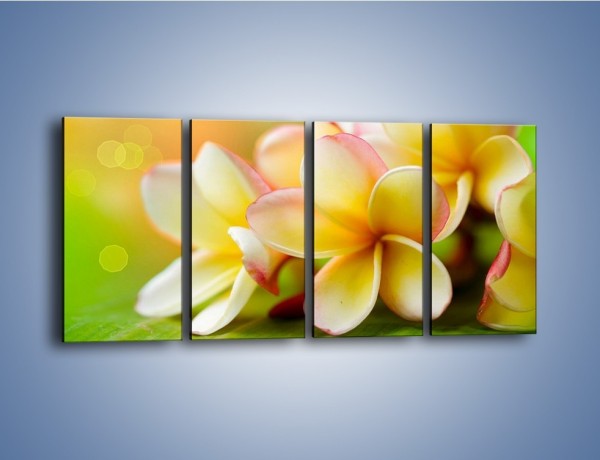 Obraz na płótnie – Kwiaty jak marcepanowe wypieki – czteroczęściowy K898W1