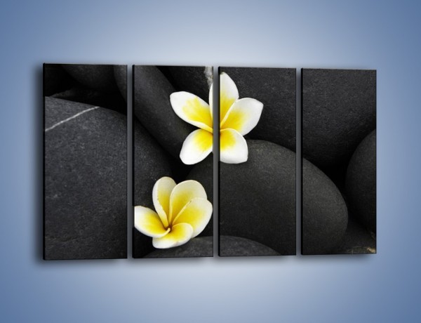 Obraz na płótnie – Kwiaty wrzucone w kamienne szczeliny – czteroczęściowy K934W1
