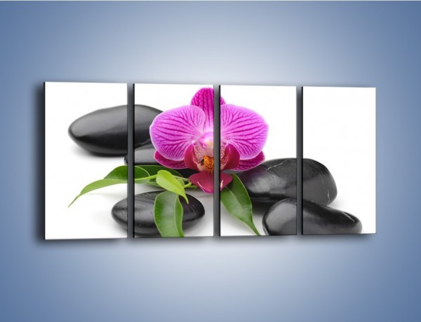 Obraz na płótnie – Kwiat i jego liście – czteroczęściowy K941W1