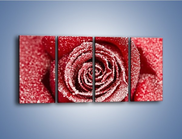 Obraz na płótnie – Szron na różanych płatkach – czteroczęściowy K958W1