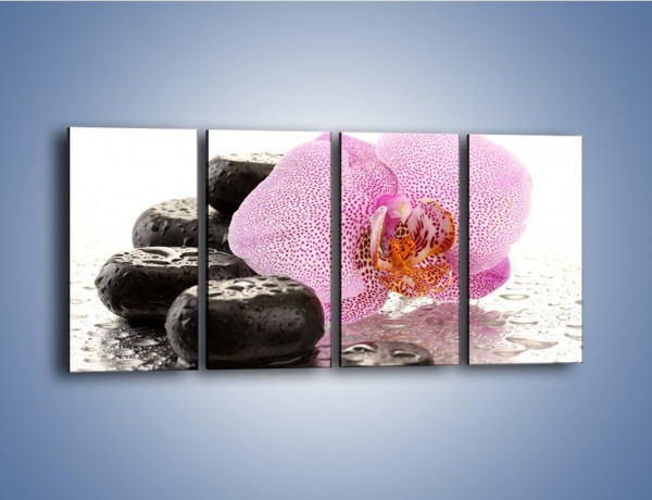 Obraz na płótnie – Kwiat otoczony kamieniami – czteroczęściowy K967W1
