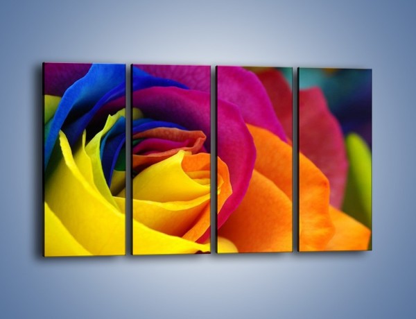 Obraz na płótnie – Pąki róż w kolorach tęczy – czteroczęściowy K973W1