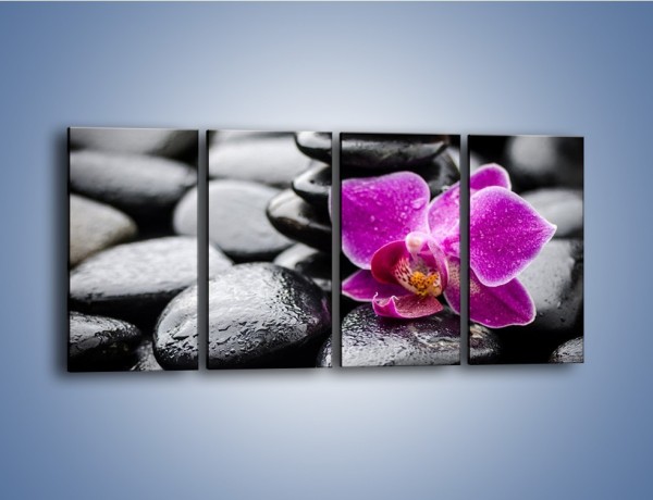 Obraz na płótnie – Malutki kwiatek i morze kamieni – czteroczęściowy K983W1