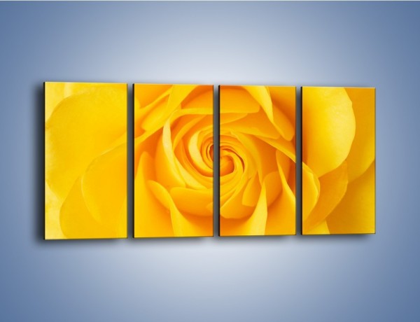 Obraz na płótnie – Moc żółtej róży – czteroczęściowy K989W1