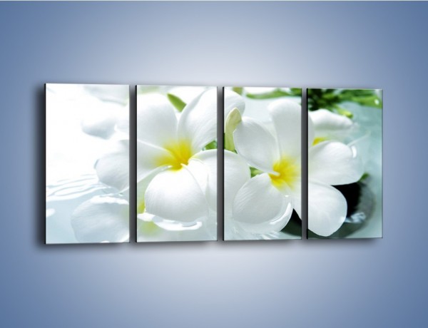 Obraz na płótnie – Białe kwiaty w potoku – czteroczęściowy K991W1