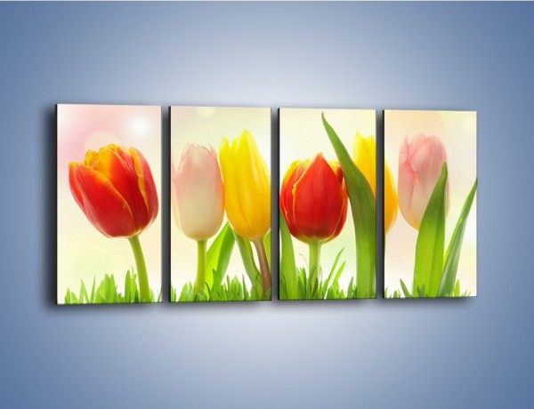 Obraz na płótnie – Sześć małych tulipanków – czteroczęściowy K996W1