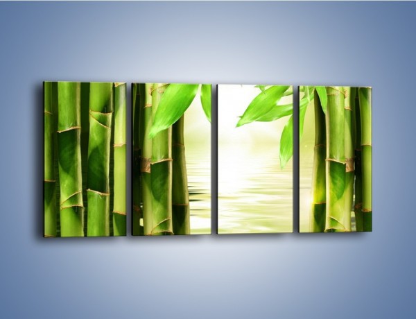 Obraz na płótnie – Bambusowe liście i łodygi – czteroczęściowy KN027W1