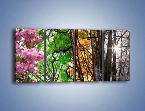 Obraz na płótnie – Drzewa w różnych kolorach – czteroczęściowy KN037W1