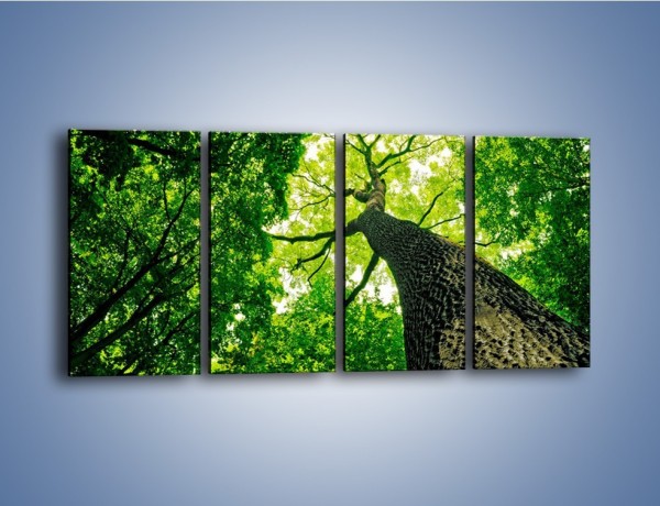 Obraz na płótnie – Wysoko na drzewie – czteroczęściowy KN1070W1