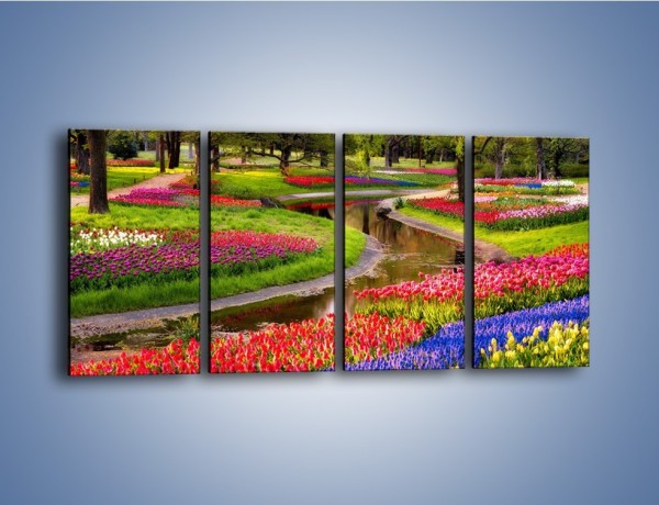 Obraz na płótnie – Aleje kolorowych tulipanów – czteroczęściowy KN1079W1