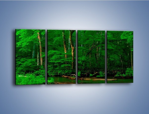 Obraz na płótnie – Mocno zarośnięty las – czteroczęściowy KN1089AW1