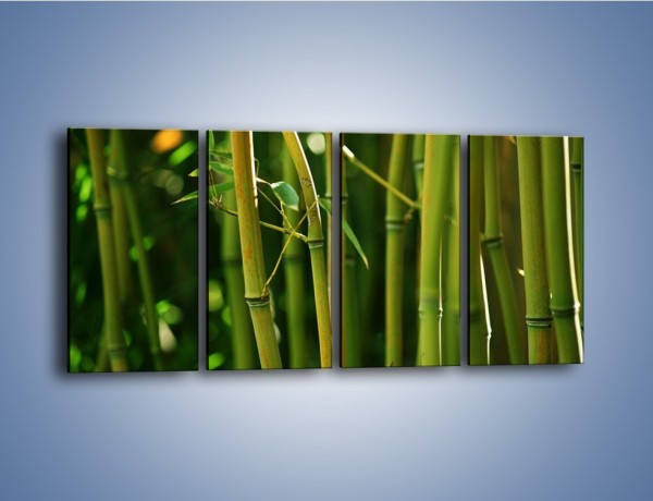 Obraz na płótnie – Bambusowe łodygi z bliska – czteroczęściowy KN118W1