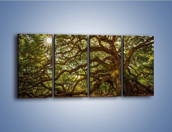 Obraz na płótnie – Drzewo które ma tysiąc rąk – czteroczęściowy KN1186AW1