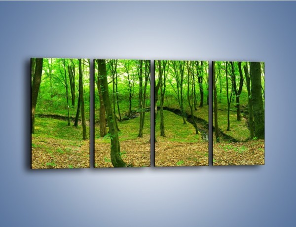 Obraz na płótnie – Wąskie spojrzenie na las – czteroczęściowy KN1264AW1