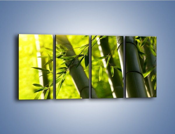 Obraz na płótnie – Twarde łodygi bambusa – czteroczęściowy KN1314AW1