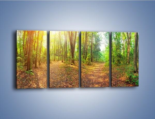 Obraz na płótnie – Przejrzysty piękny las – czteroczęściowy KN1344AW1