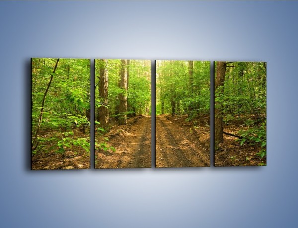 Obraz na płótnie – Leśną drogą jak z filmu – czteroczęściowy KN324W1