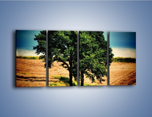 Obraz na płótnie – Para zaprzyjaźnionych drzew – czteroczęściowy KN571W1
