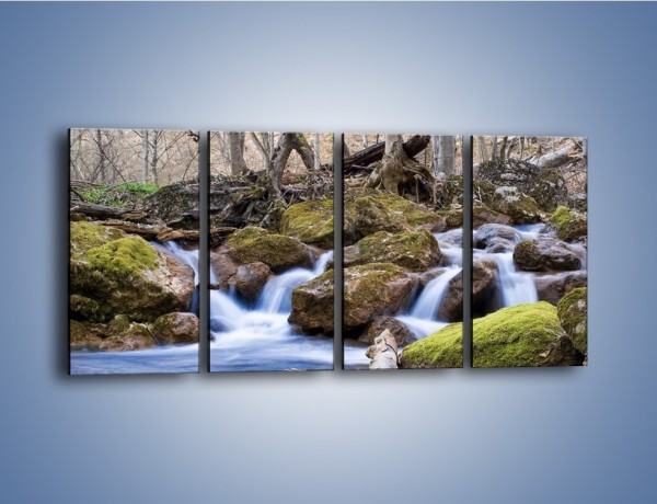 Obraz na płótnie – Rwący potok w chłodny dzień – czteroczęściowy KN676W1
