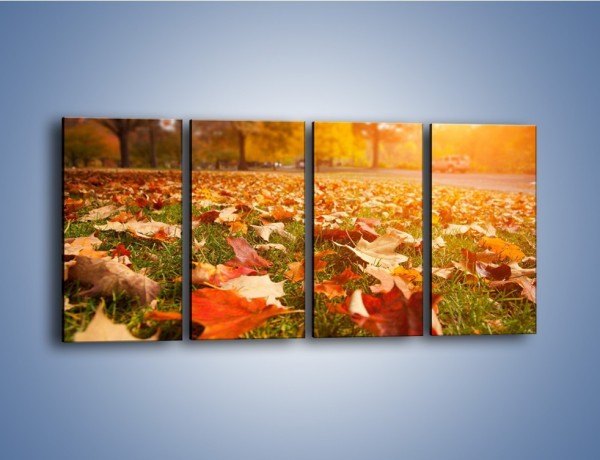 Obraz na płótnie – Jesień na trawie – czteroczęściowy KN966W1