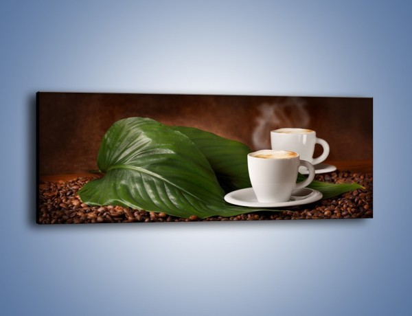 Obraz na płótnie – Kawa na eukaliptusie – jednoczęściowy panoramiczny JN576