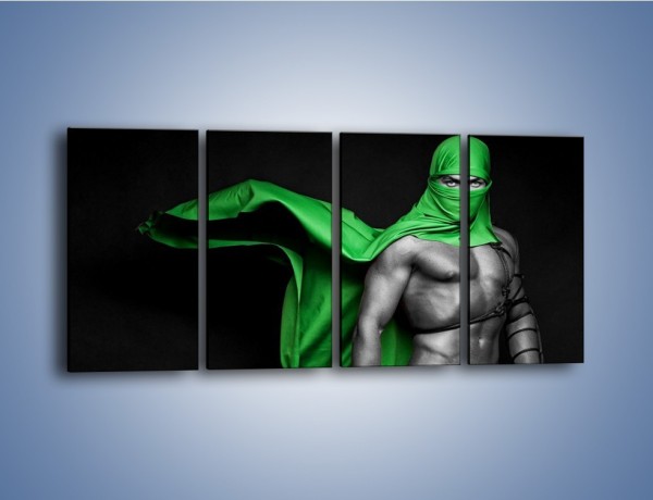 Obraz na płótnie – Zielony ninja – czteroczęściowy L245W1