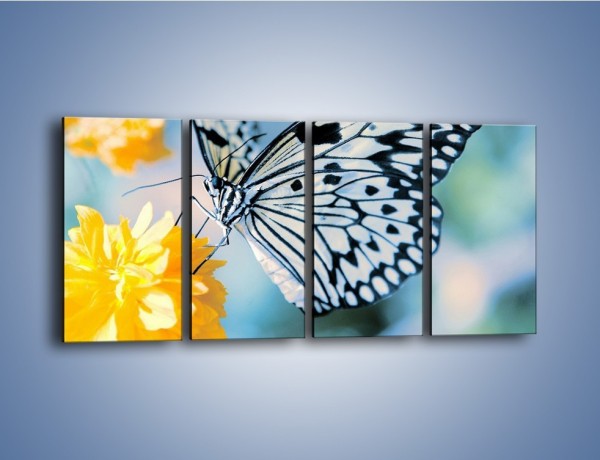 Obraz na płótnie – Motyw zebry w motylu – czteroczęściowy Z010W1