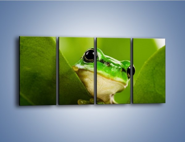 Obraz na płótnie – Zielony świat żabki – czteroczęściowy Z014W1