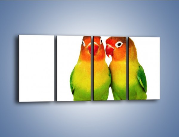 Obraz na płótnie – Sekrety uśmiechniętych papug – czteroczęściowy Z017W1