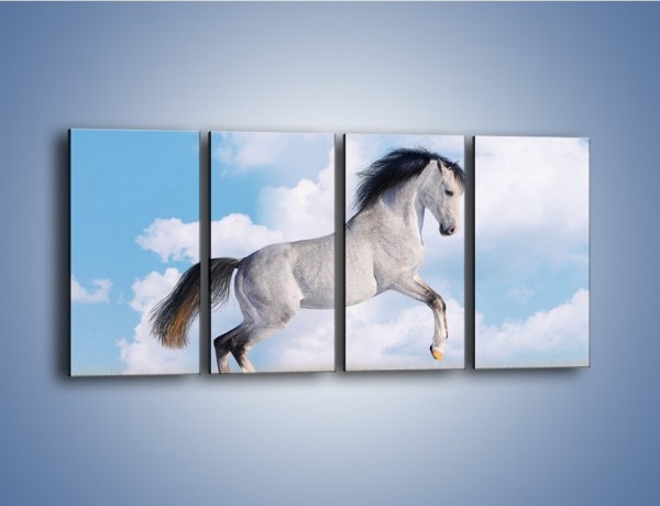 Obraz na płótnie – Białe obłoki i koń – czteroczęściowy Z019W1