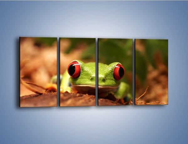 Obraz na płótnie – Bystre oczka małej żabki – czteroczęściowy Z023W1