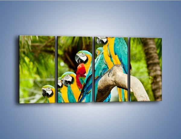 Obraz na płótnie – Kolorowe papugi w szeregu – czteroczęściowy Z029W1