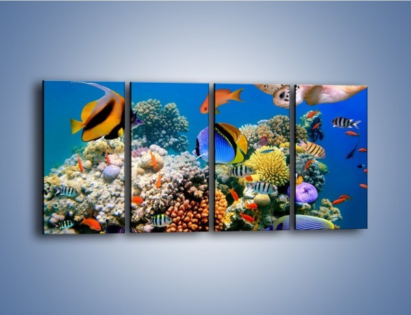 Obraz na płótnie – Wodny świat ryb – czteroczęściowy Z041W1