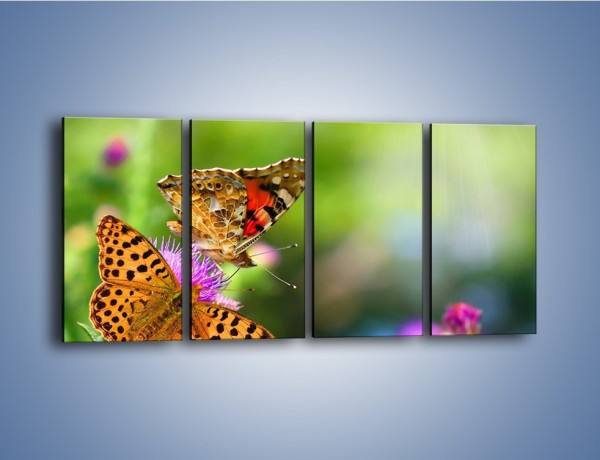 Obraz na płótnie – Świat kolorowych motyli – czteroczęściowy Z053W1