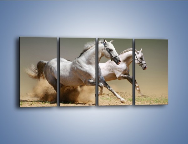 Obraz na płótnie – Białe konie w pustynnym galopie – czteroczęściowy Z055W1