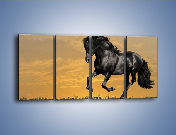 Obraz na płótnie – Bieg z koniem po polanie – czteroczęściowy Z057W1