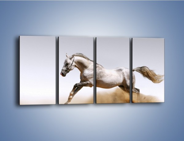 Obraz na płótnie – Srebrny koń w galopie – czteroczęściowy Z062W1