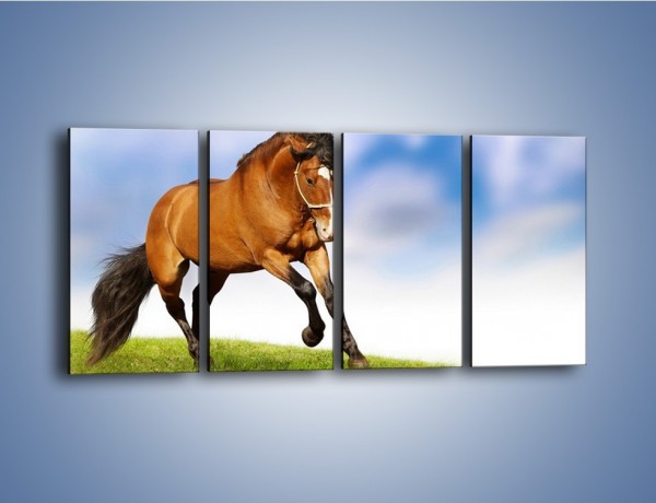 Obraz na płótnie – Przejażdżka na brązowym koniu – czteroczęściowy Z064W1