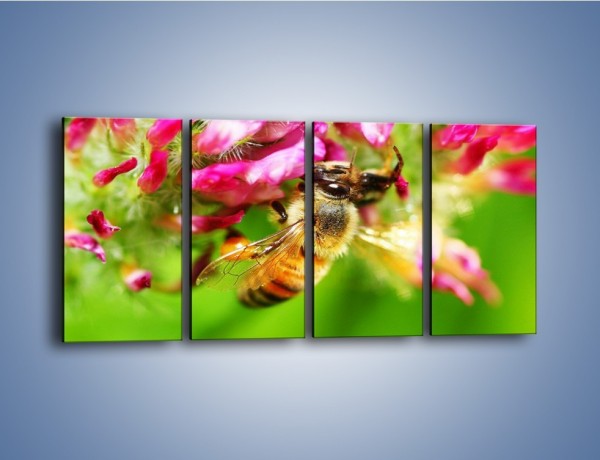 Obraz na płótnie – Pszczoły kochają kwiaty – czteroczęściowy Z065W1