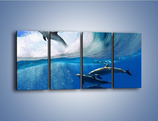 Obraz na płótnie – Z delfinami przez falę – czteroczęściowy Z073W1