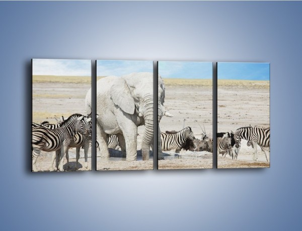 Obraz na płótnie – Słoń i jego przyjaciele – czteroczęściowy Z080W1