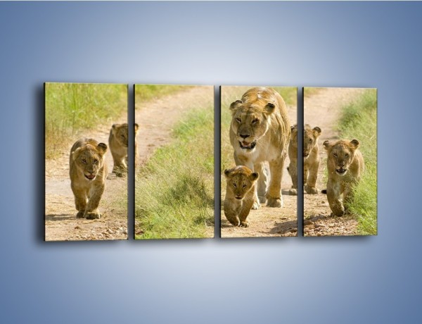 Obraz na płótnie – Spacer z małymi lwiątkami – czteroczęściowy Z112W1