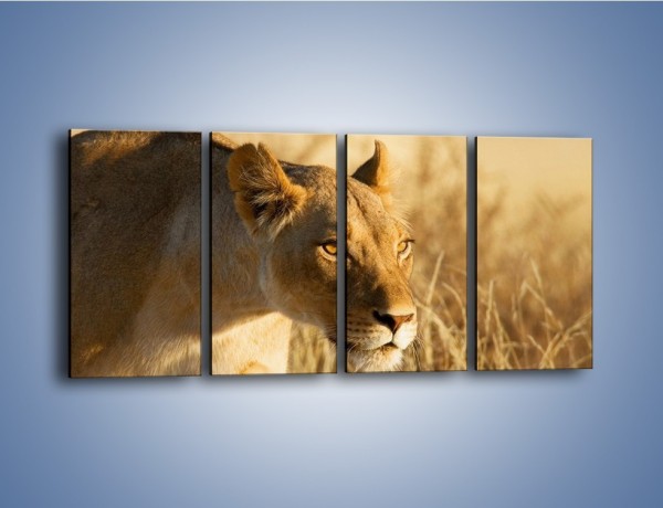 Obraz na płótnie – Polowanie z lwicą – czteroczęściowy Z132W1